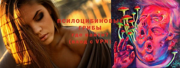 шишки Вязьма