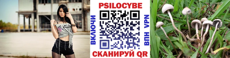 Галлюциногенные грибы ЛСД  Купить где  Кореновск 